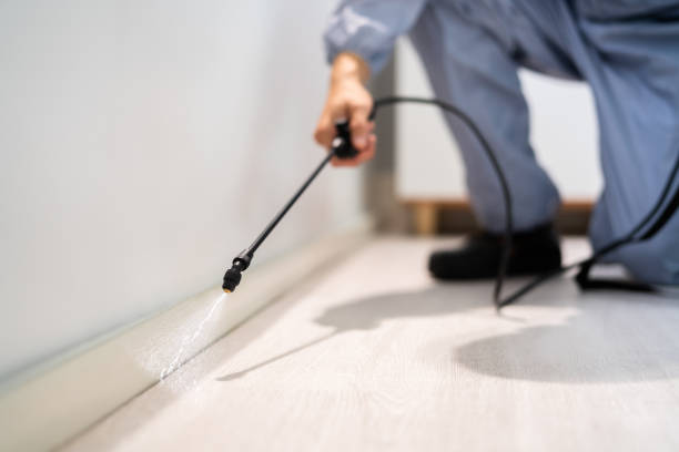 Licensed Pest Control service in Madison Center, CT - Show Me Pest Control