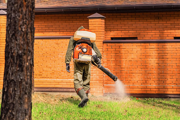 Bed Bug Clearance Verification and Documentation in Madison Center